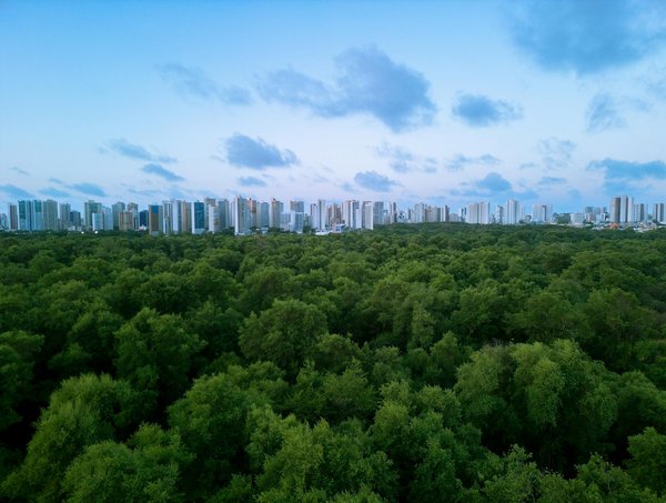 Médaille goodflair : retrouvez votre animal perdu