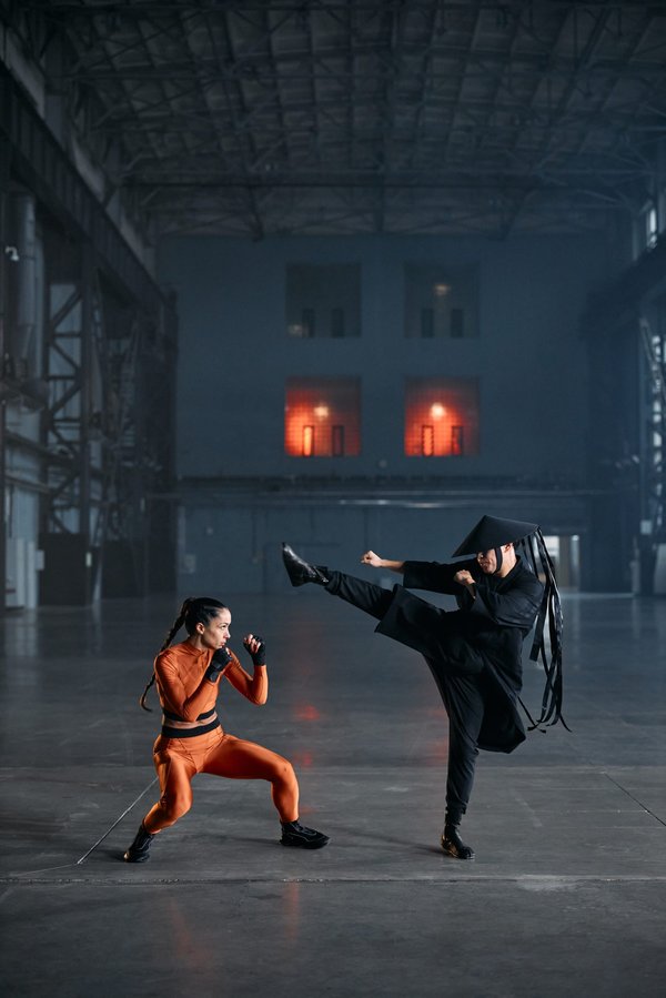 Quel chien attaque le plus l'homme ?